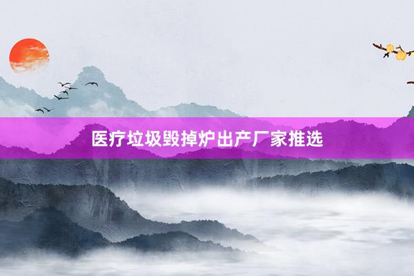 医疗垃圾毁掉炉出产厂家推选